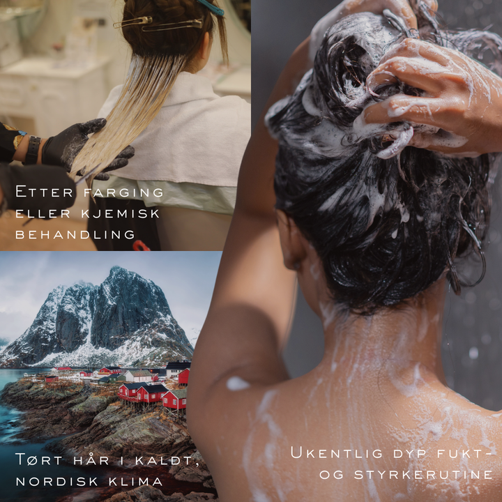 The Comeback Hair Bundle