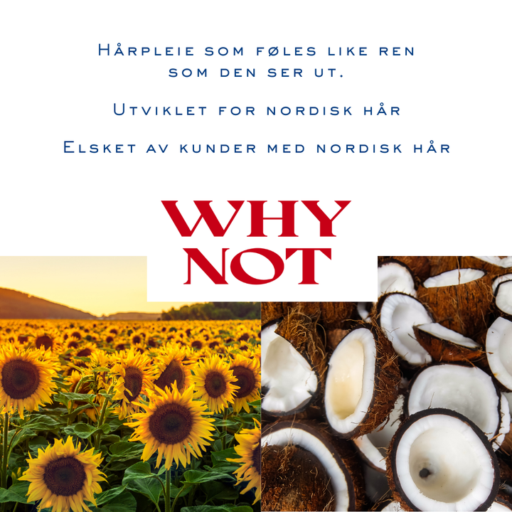 Scandi Clean Beauty Bundle