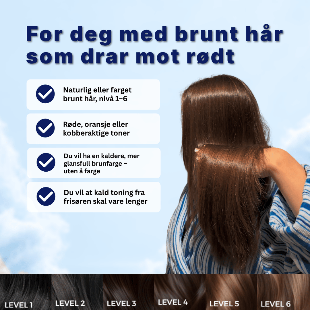 Ultimate Cold Brunette Refresh Bundle