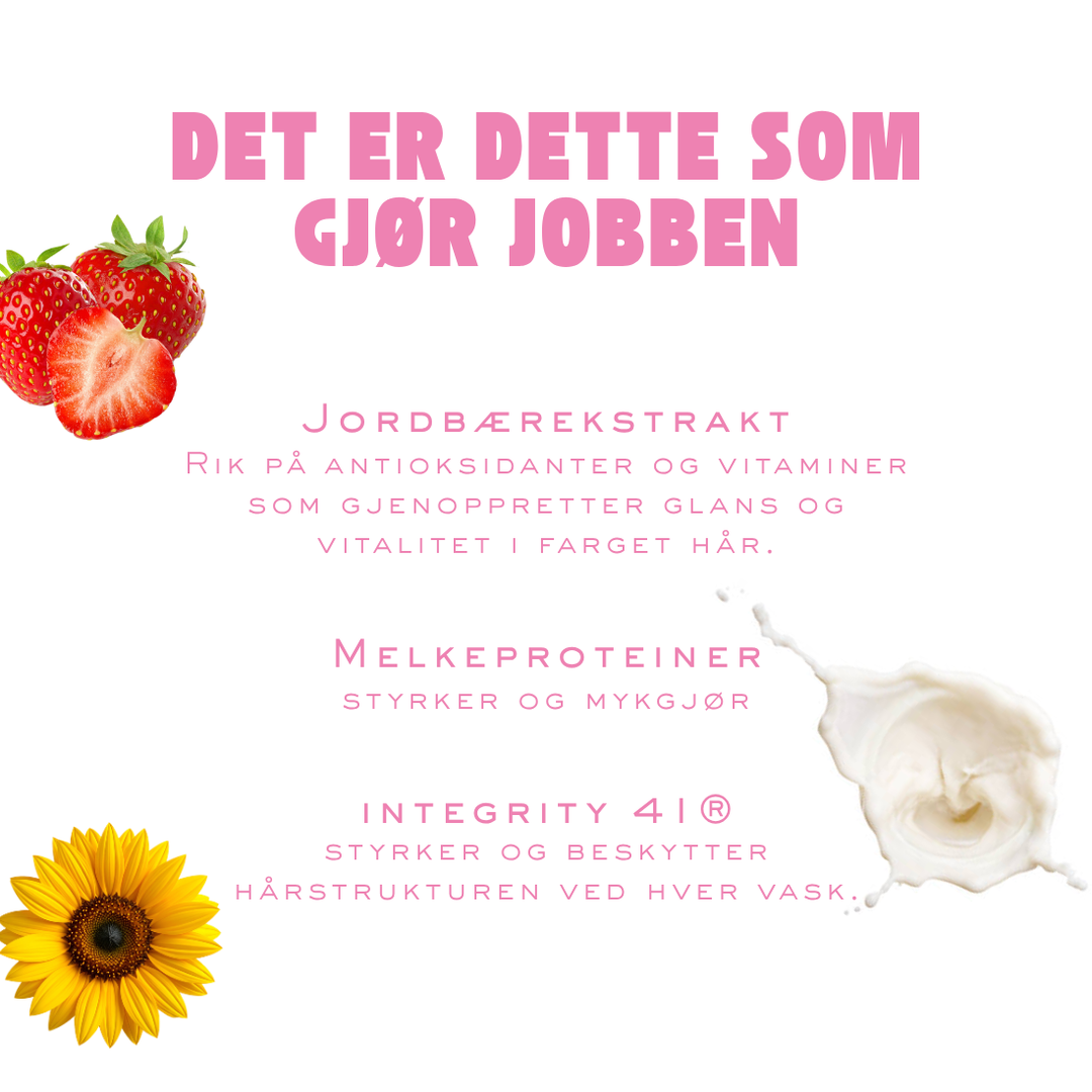 Flower and Strawberry Dream Bundle