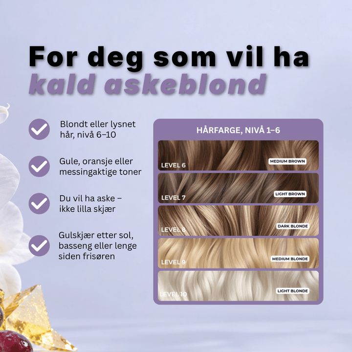Ultimate Icy Blonde Refresh Bundle