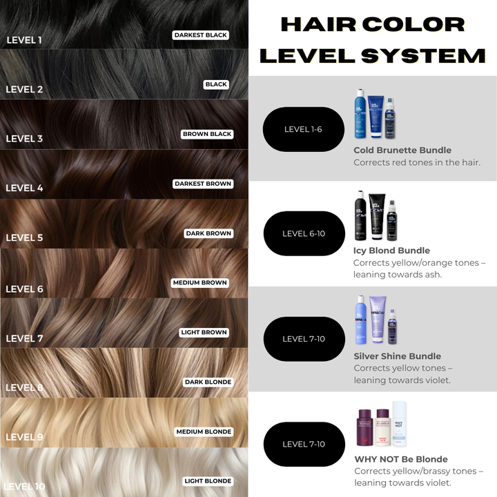 Icy Blonde Refresh Bundle
