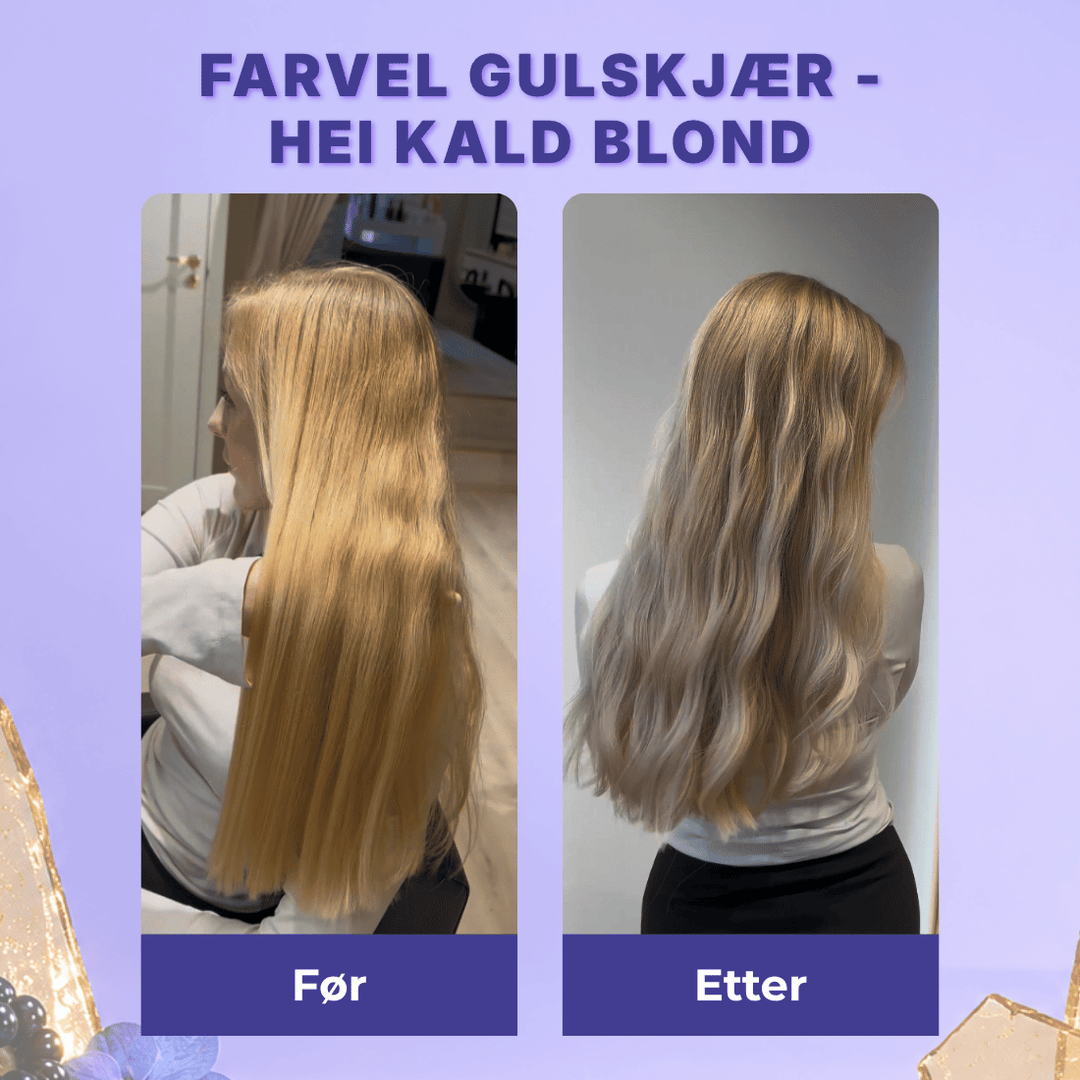 Ultimate Cool Blonde Refresh Bundle