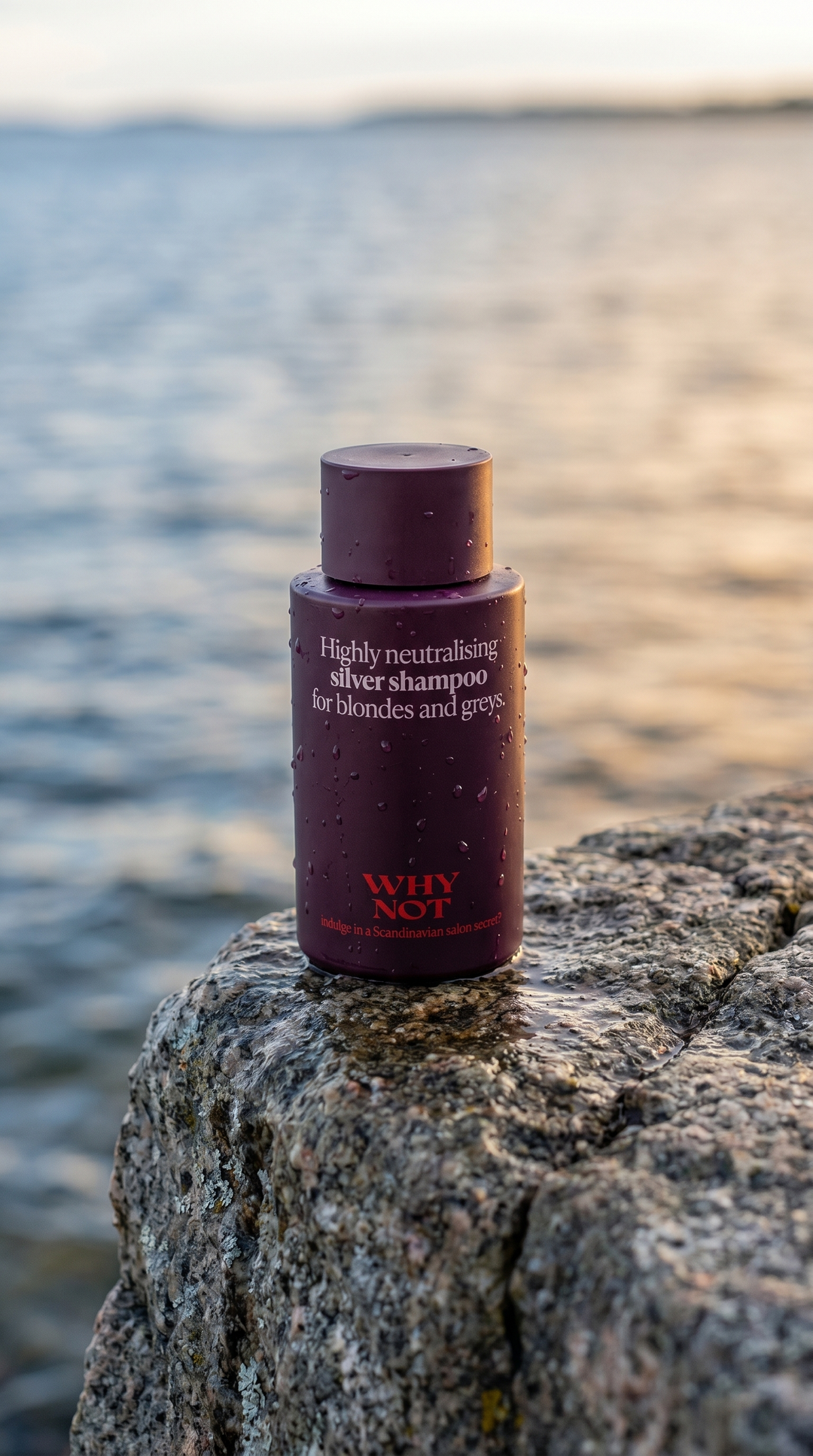 WHY NOT Silver Shampoo 300ml