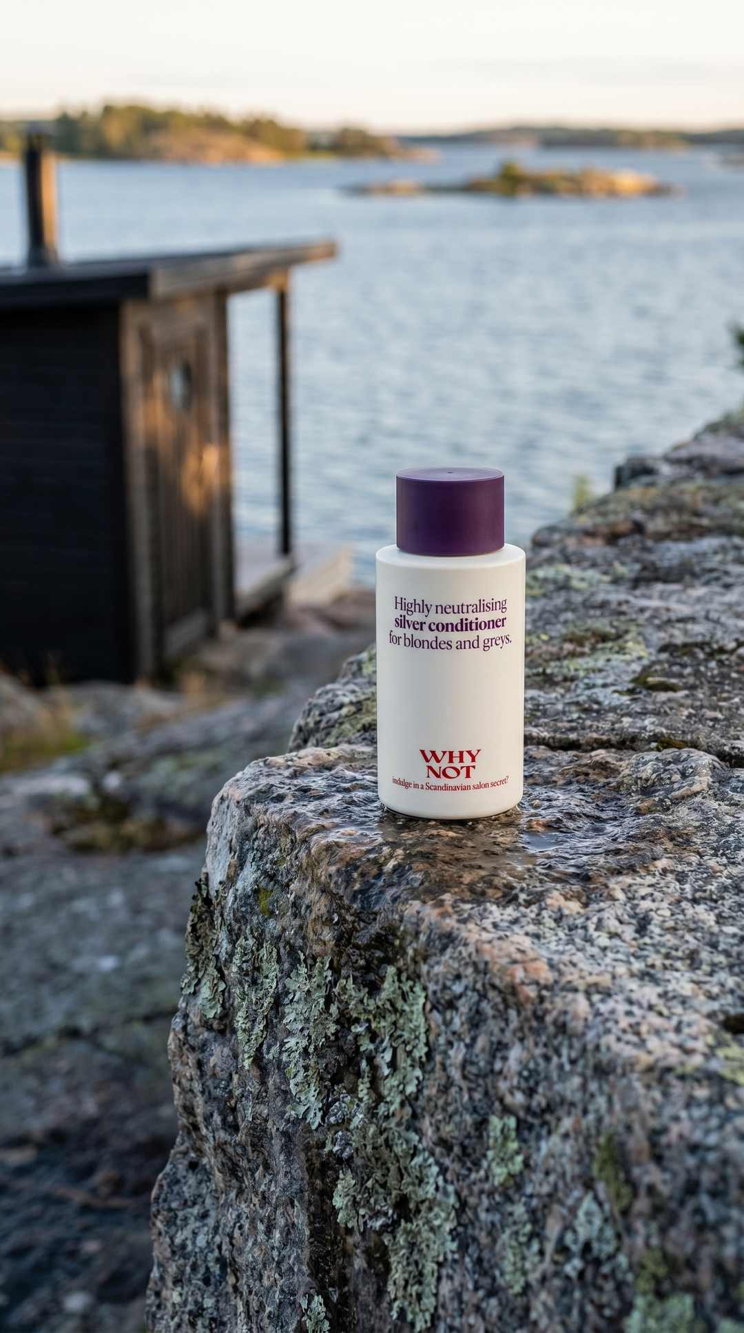 WHY NOT Silver Conditioner 300ml