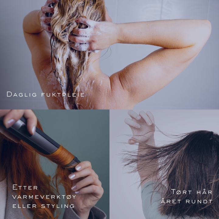 Why Not Hydrate Bundle (Få Body Cream på kjøpet)