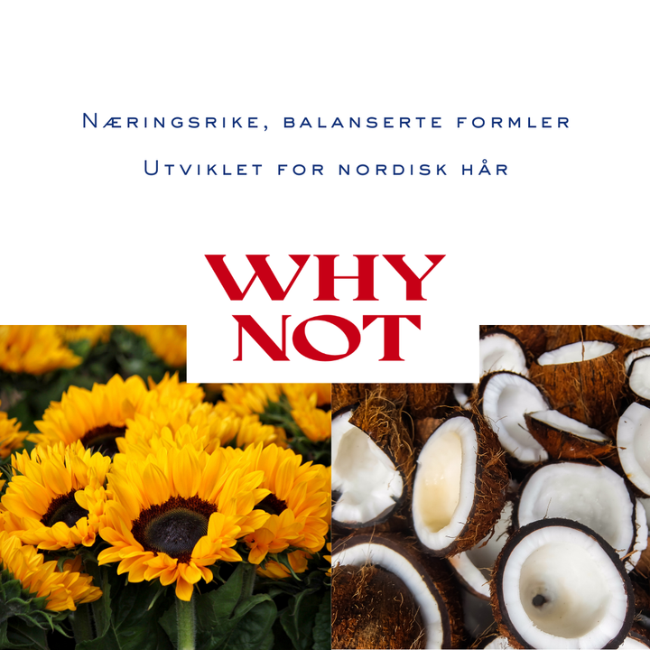 Why Not Hydrate Bundle (Få Body Cream på kjøpet)