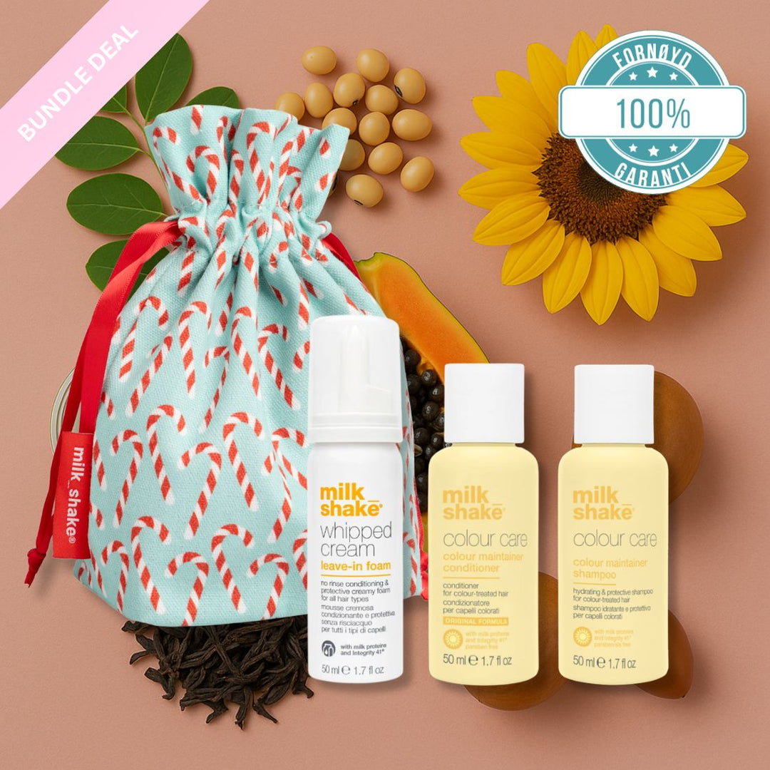 Merry Mini Gift Bundle