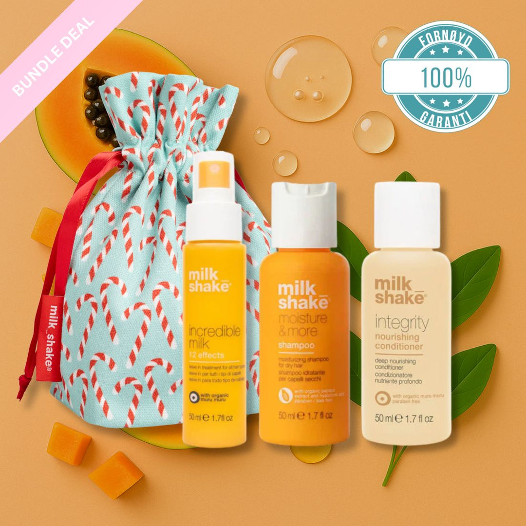 Merry Mini Gift Bundle